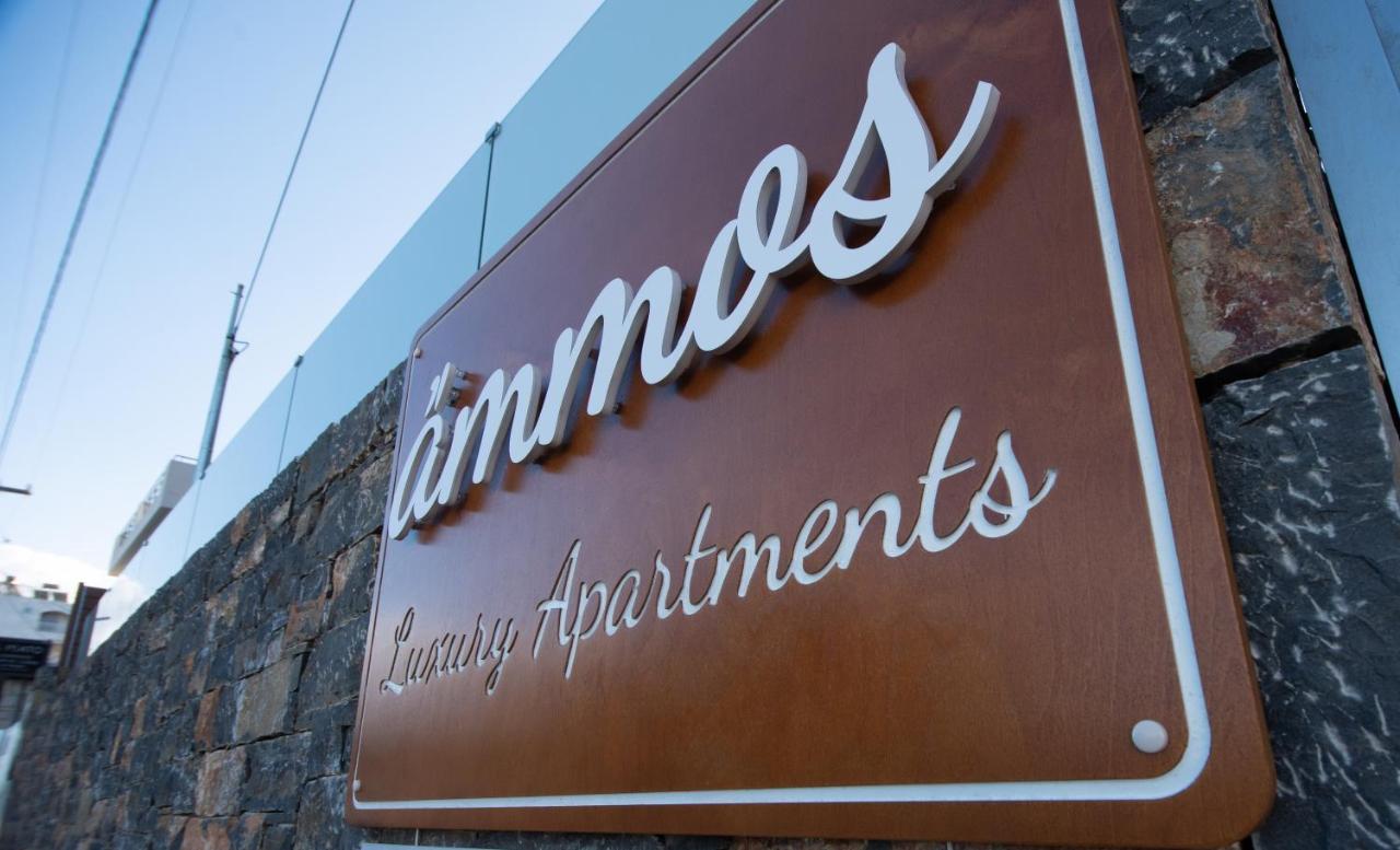 Ammos Lux Apartments Crete アイオス・ニコラオス エクステリア 写真
